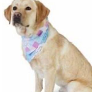 Vineyard vines pet bandana